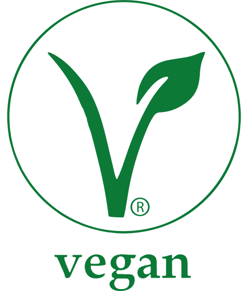 vegan-dinner